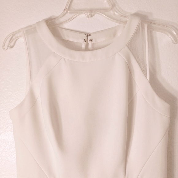 White House Black Market Sleeveless Mesh Iconic White Sheath Dress Size 4 - Picture 8 of 14